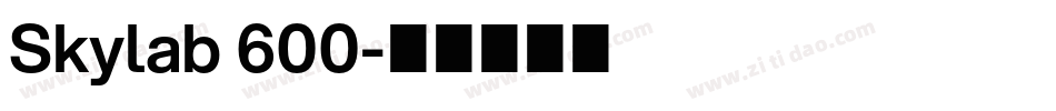 Skylab 600字体转换